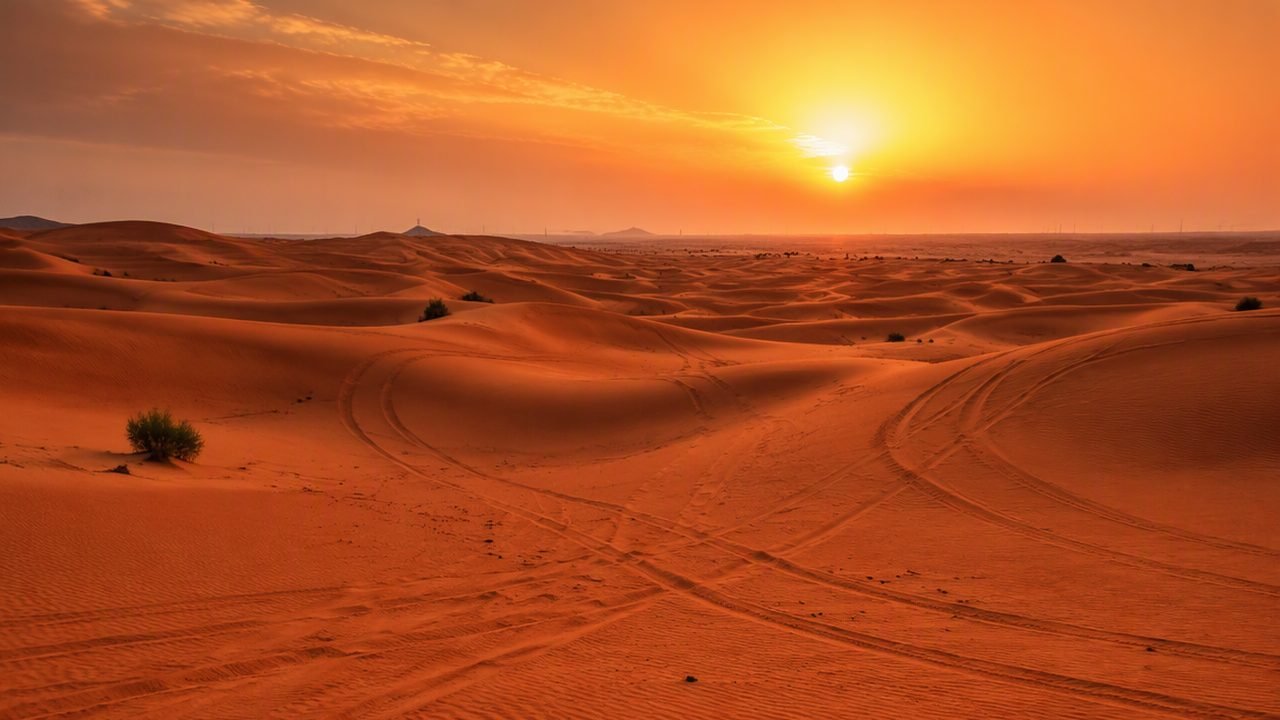 Safari Deserto Privato